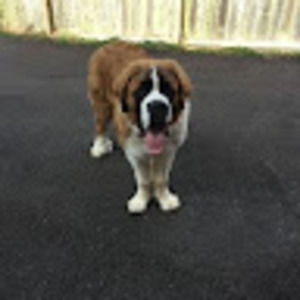 Meet your Posher, Donnie